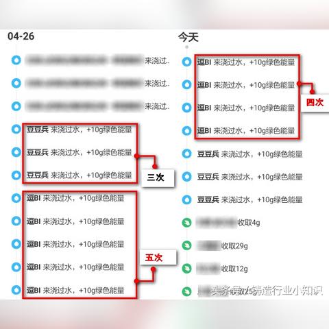 蚂蚁森林绿色能量攻略，玩转森林，赢取丰厚奖励