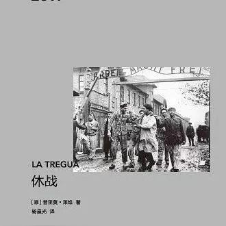 欧美地区人与兽的最新观察与数据深度解析