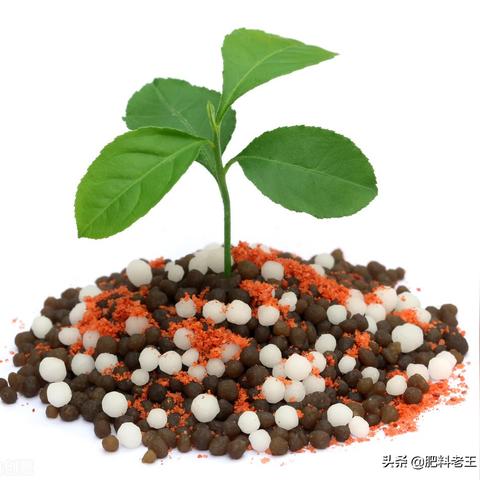 河北尿素最新价格走势分析