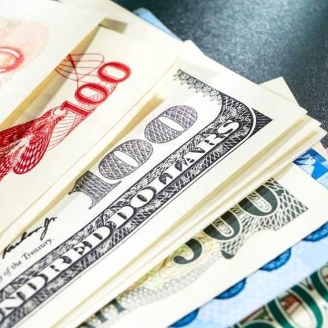 欧元最新动态，欧洲央行政策调整与汇率分析报道