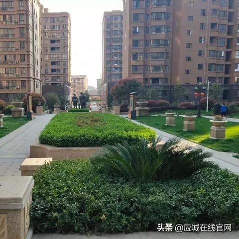 应城瑞丰最新动态更新，关注最新发展动态