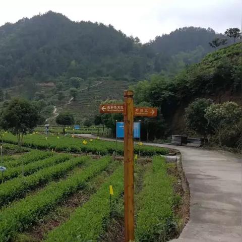 建德最新招工信息全面解析