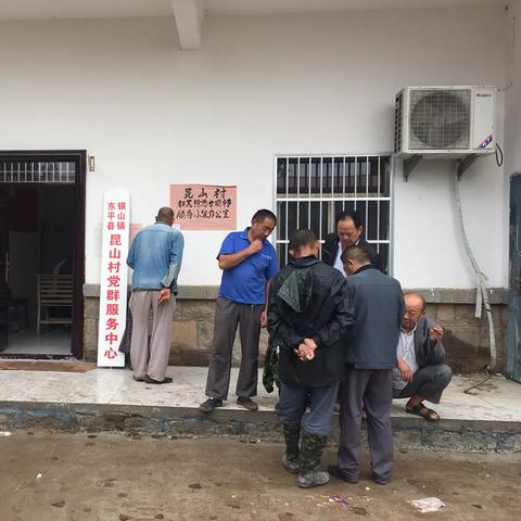 山东煤炭价格最新动态解析