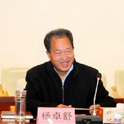卓达集团最新集资动态简报（XXXX年）