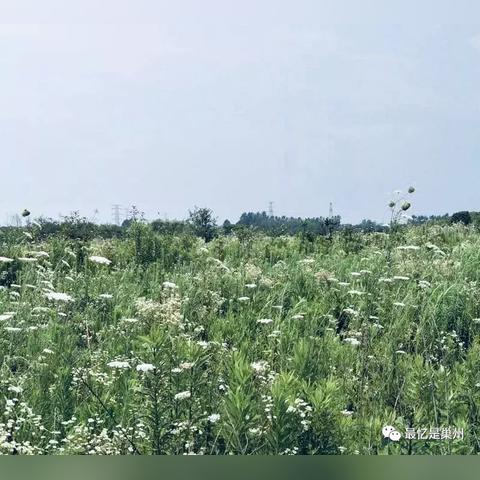 巢湖飞机场建设最新动态全面解析