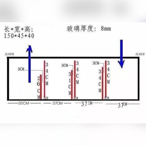 最新鱼缸底滤设计图解析