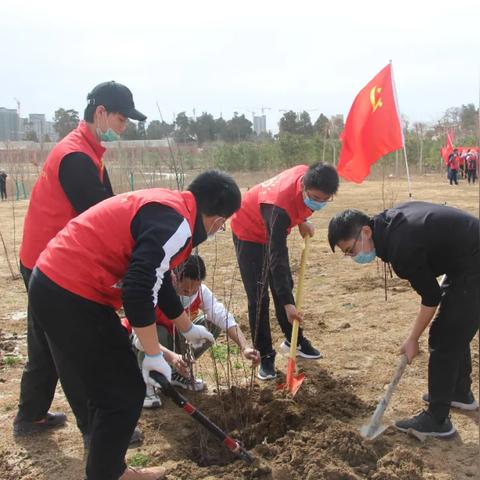 技术咨询 第26页